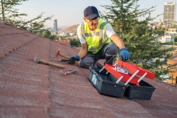 Best Construction Debris Removal  in Locust Fork, AL